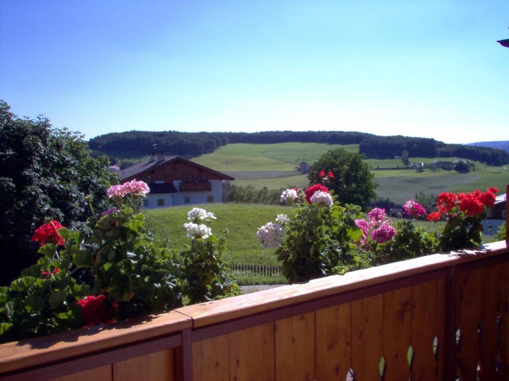 Hotel Viktoria Castelrotto Zewnętrze zdjęcie
