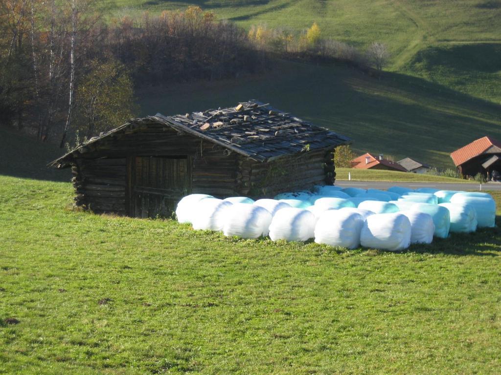 Hotel Viktoria Castelrotto Zewnętrze zdjęcie
