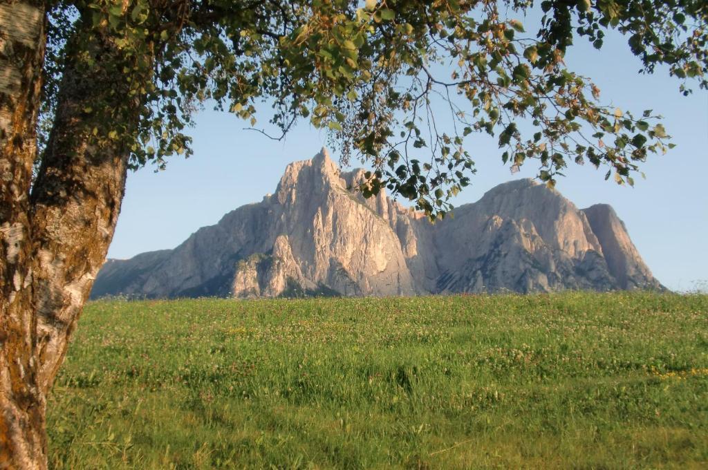 Hotel Viktoria Castelrotto Zewnętrze zdjęcie